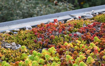 the cost of Scampston green roof installation