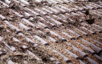 Scampston roof cleaning companies